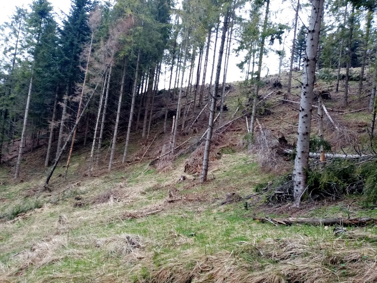 422 B0 -vietor+lykožrut -1