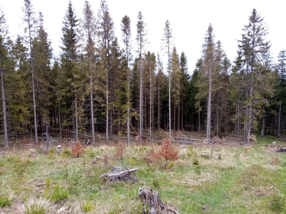 429 B0- vietor+lykožrut-2