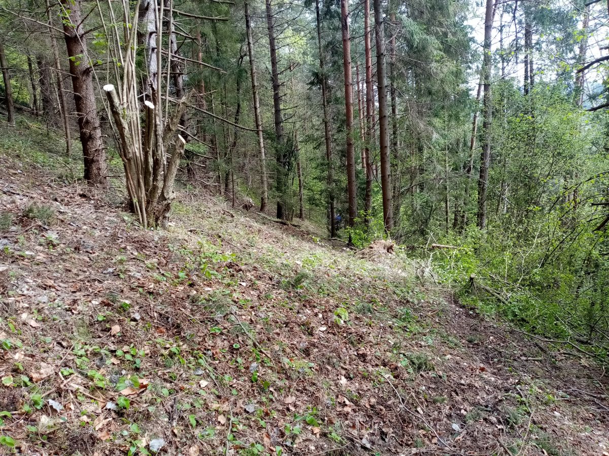 Výrez trasy-1