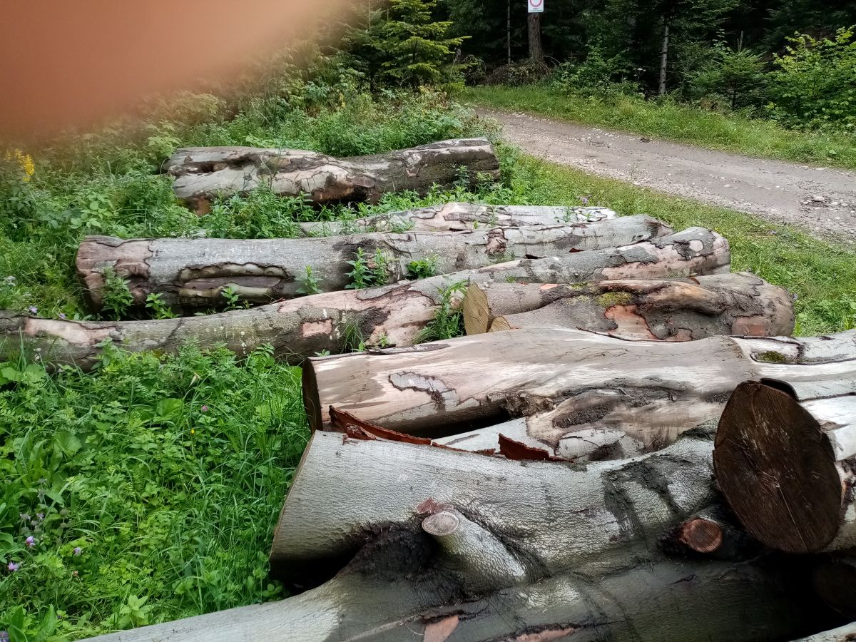 424 A1-buk po manipulácii