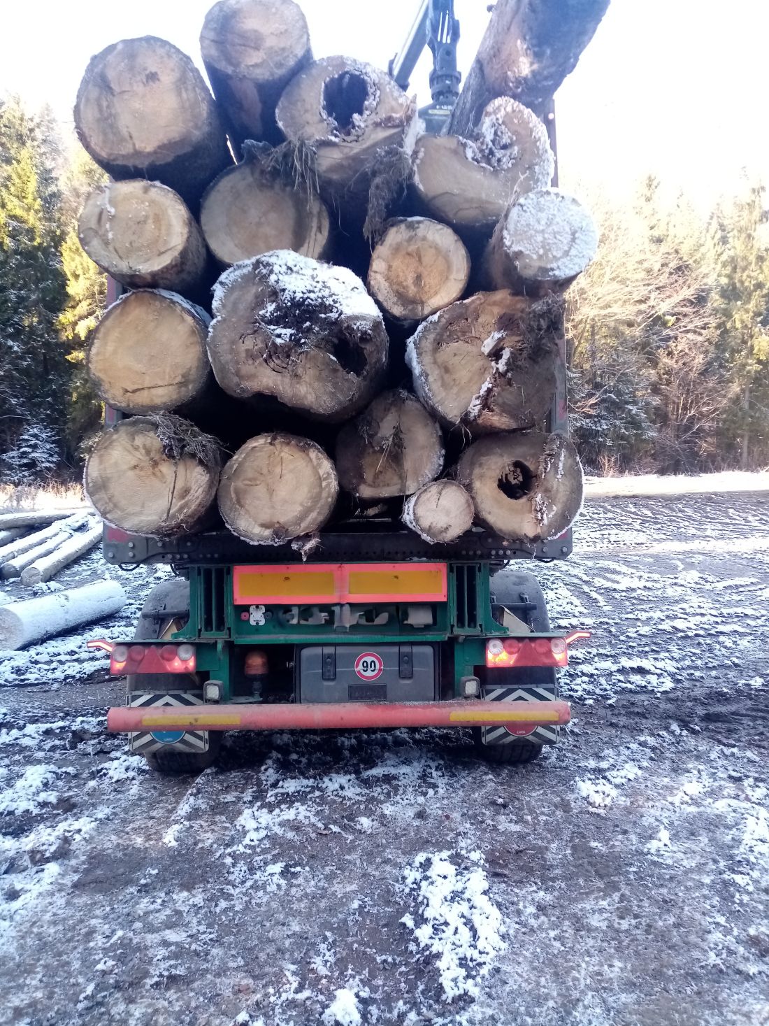 460 A1 -prestarla jedľa